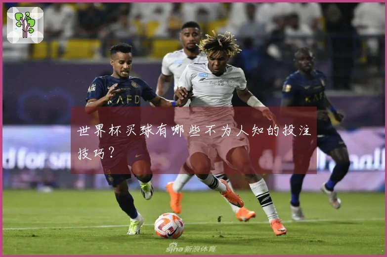 世界杯买球有哪些不为人知的投注技巧？