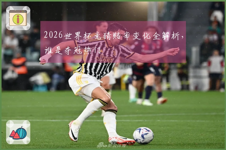 2026世界杯竞猜赔率变化全解析，谁是夺冠热门