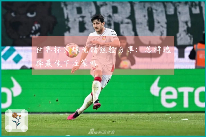 世界杯买球竞猜经验分享：怎样选择最佳下注策略