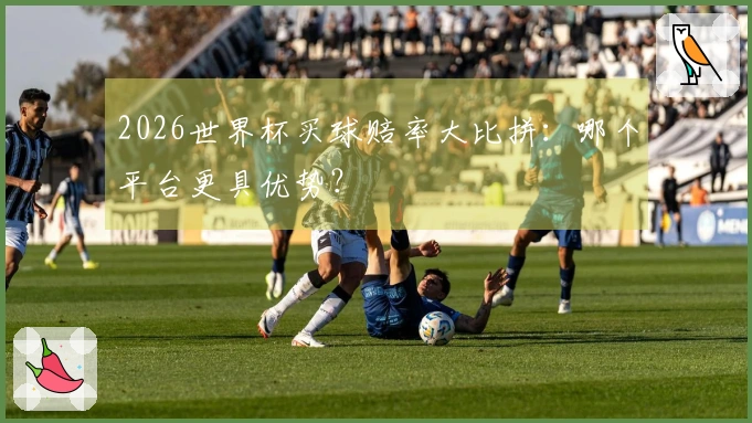 2026世界杯买球赔率大比拼：哪个平台更具优势？