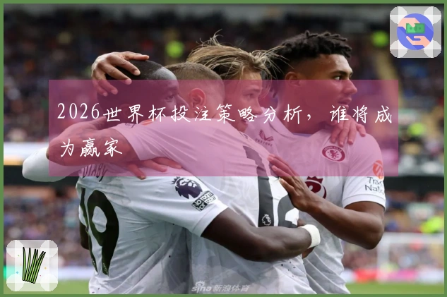 2026世界杯投注策略分析，谁将成为赢家