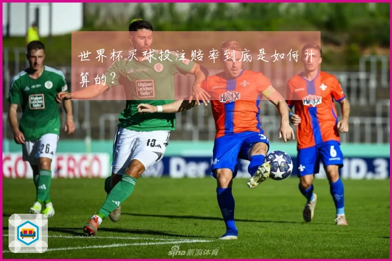 世界杯买球投注赔率到底是如何计算的？