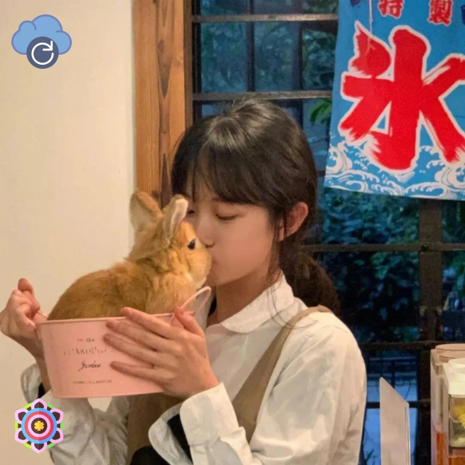 用户头像